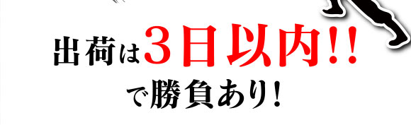 出荷は、3日以内!! で勝負あり！